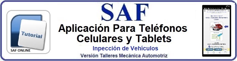 Manual Inpección de Vehiculos